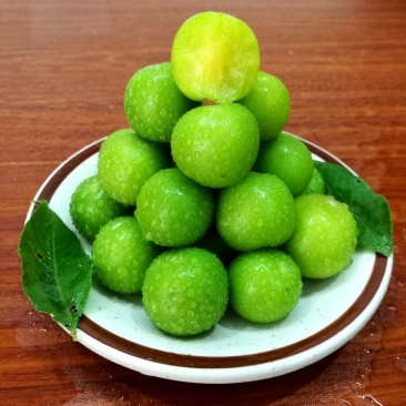 青脆李三月李