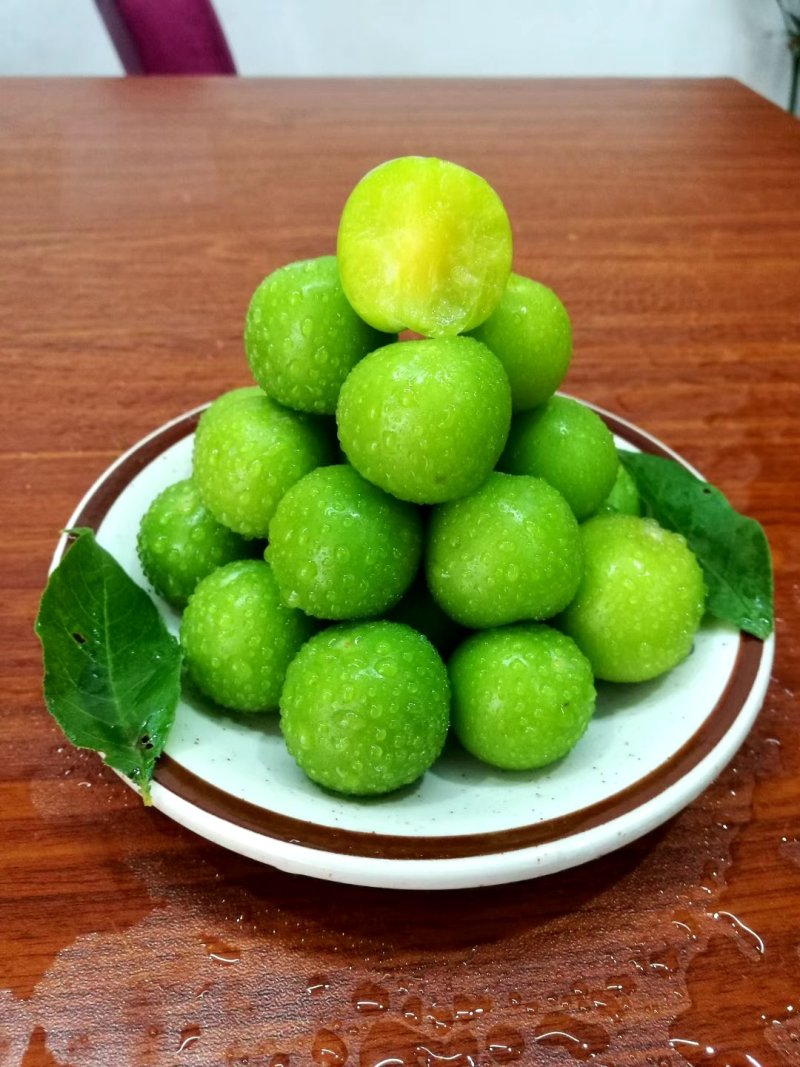 青脆李三月李