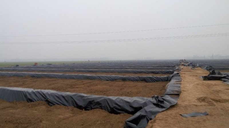 防渗膜鱼塘膜池塘防水布土工布防水膜水产养殖膜加厚防