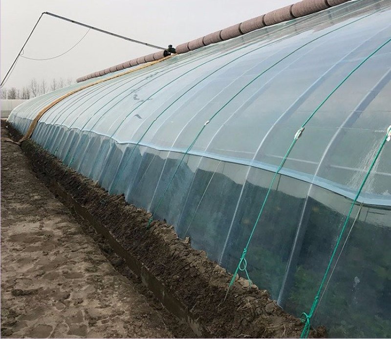 进口加厚长寿大棚膜蔬菜温室无滴膜塑料布薄膜透明po膜养殖