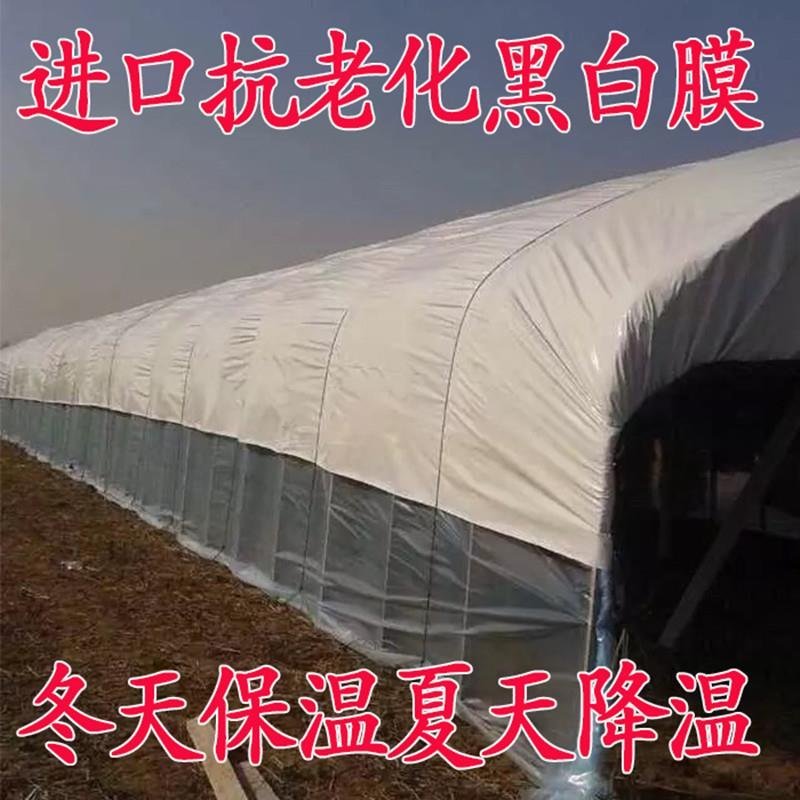 进口加厚长寿大棚膜蔬菜温室无滴膜塑料布薄膜透明po膜养殖