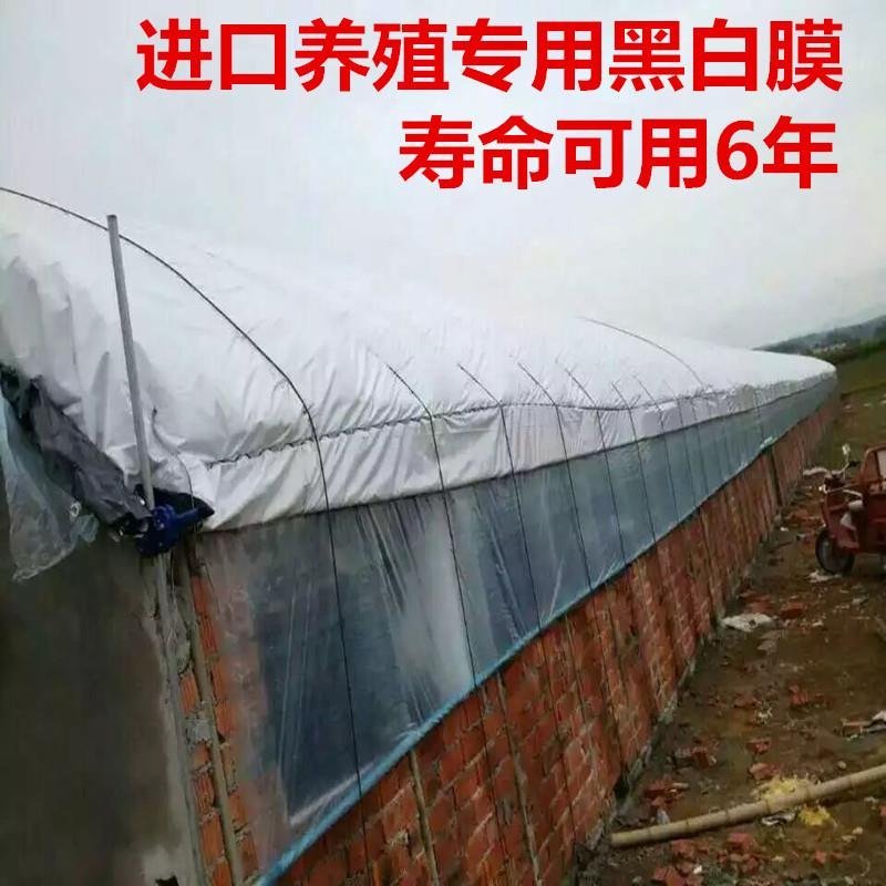 进口加厚长寿大棚膜蔬菜温室无滴膜塑料布薄膜透明po膜养殖
