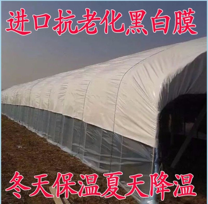 进口加厚长寿大棚膜蔬菜温室无滴膜塑料布薄膜透明po膜养殖