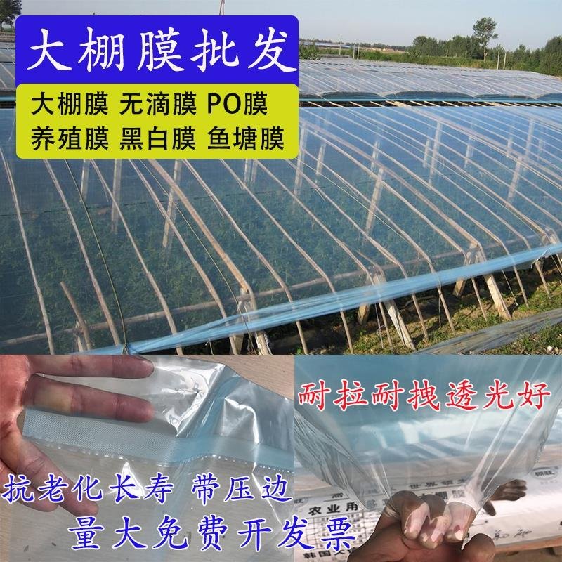 进口加厚长寿大棚膜蔬菜温室无滴膜塑料布薄膜透明po膜养殖