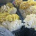 菌包出售，菌包重量3公斤左右，出菇率最少2公斤左右