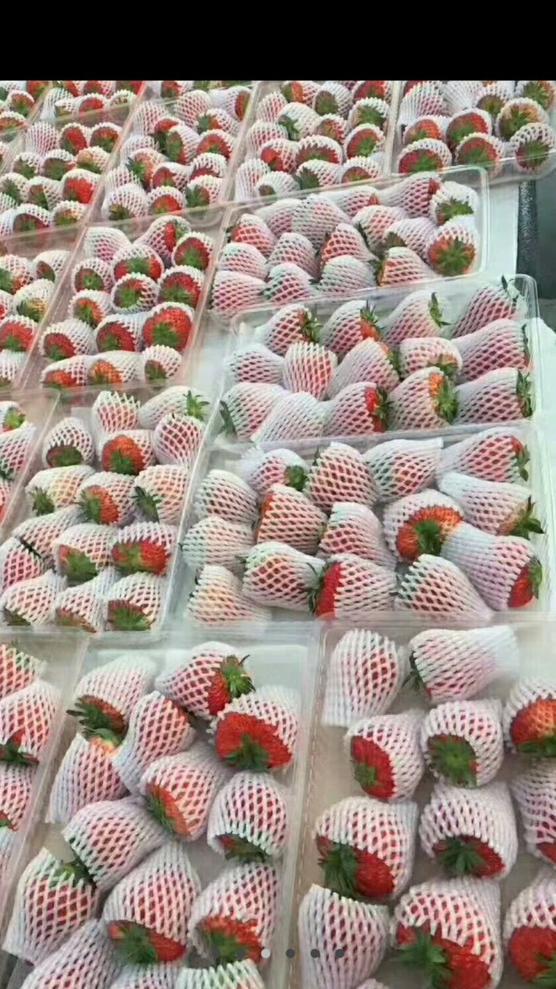 丹东东港九九草莓🍓