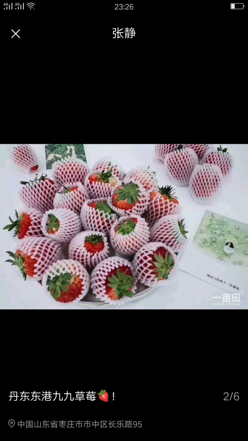 丹东东港九九草莓🍓