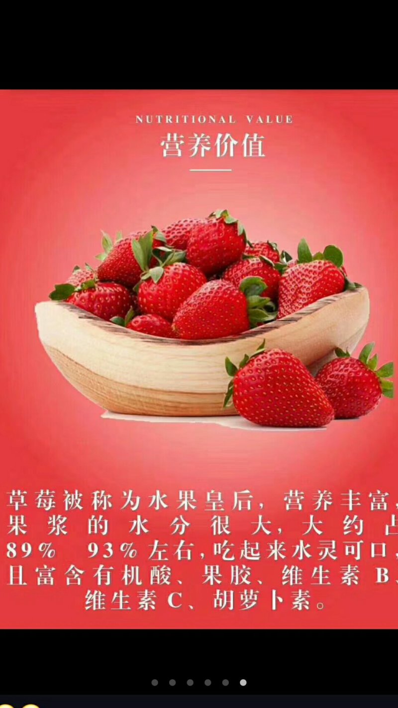 丹东东港九九草莓🍓