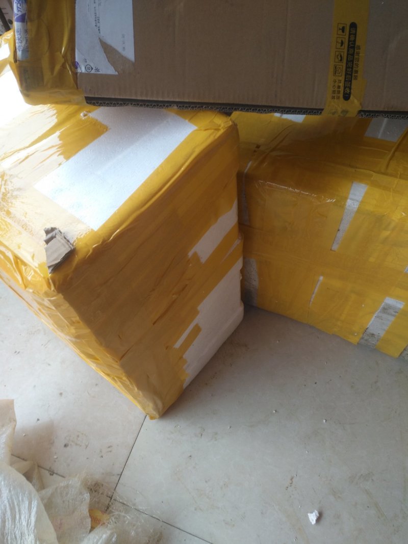 毛竹苗楠竹苗产地直供优质毛竹各种规格都有量大价优
