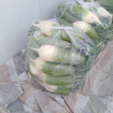 萝卜，各类蔬菜。各种萝卜