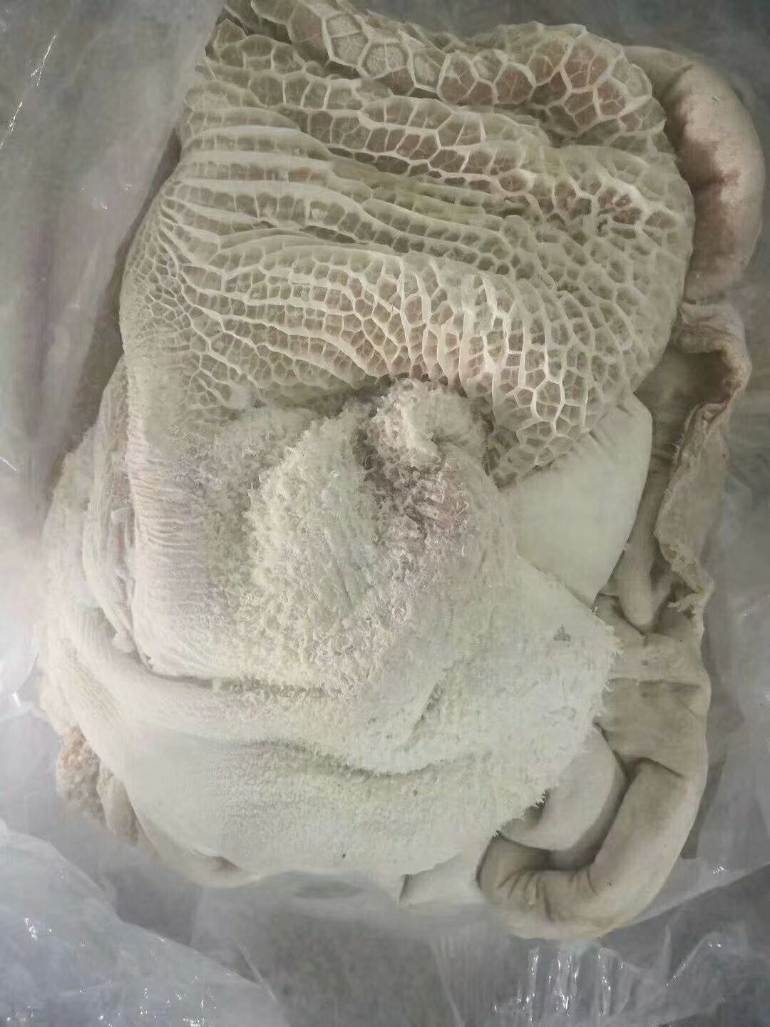 [牛肚批发]精品新鲜牛肚 半成品牛大肚 厂家直销 全国发货 批发量大