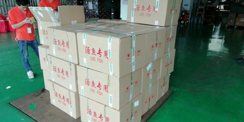 锦鲤鱼苗三色锦鲤鱼苗🌟全国各地支持发货(包邮)