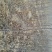 【精品】山东苹果苗，红富士，红星，国光规格品种齐全