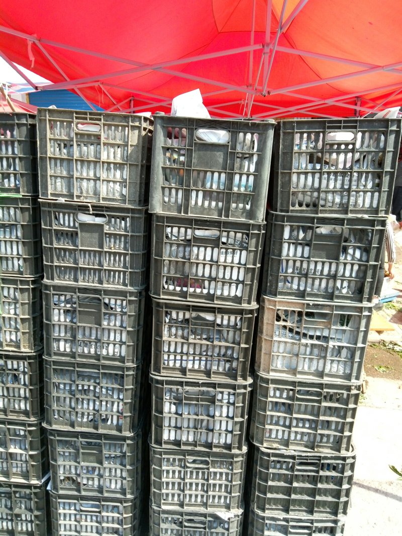 四川香椿芽精品大竹香椿芽产地直供量大从优对接全国
