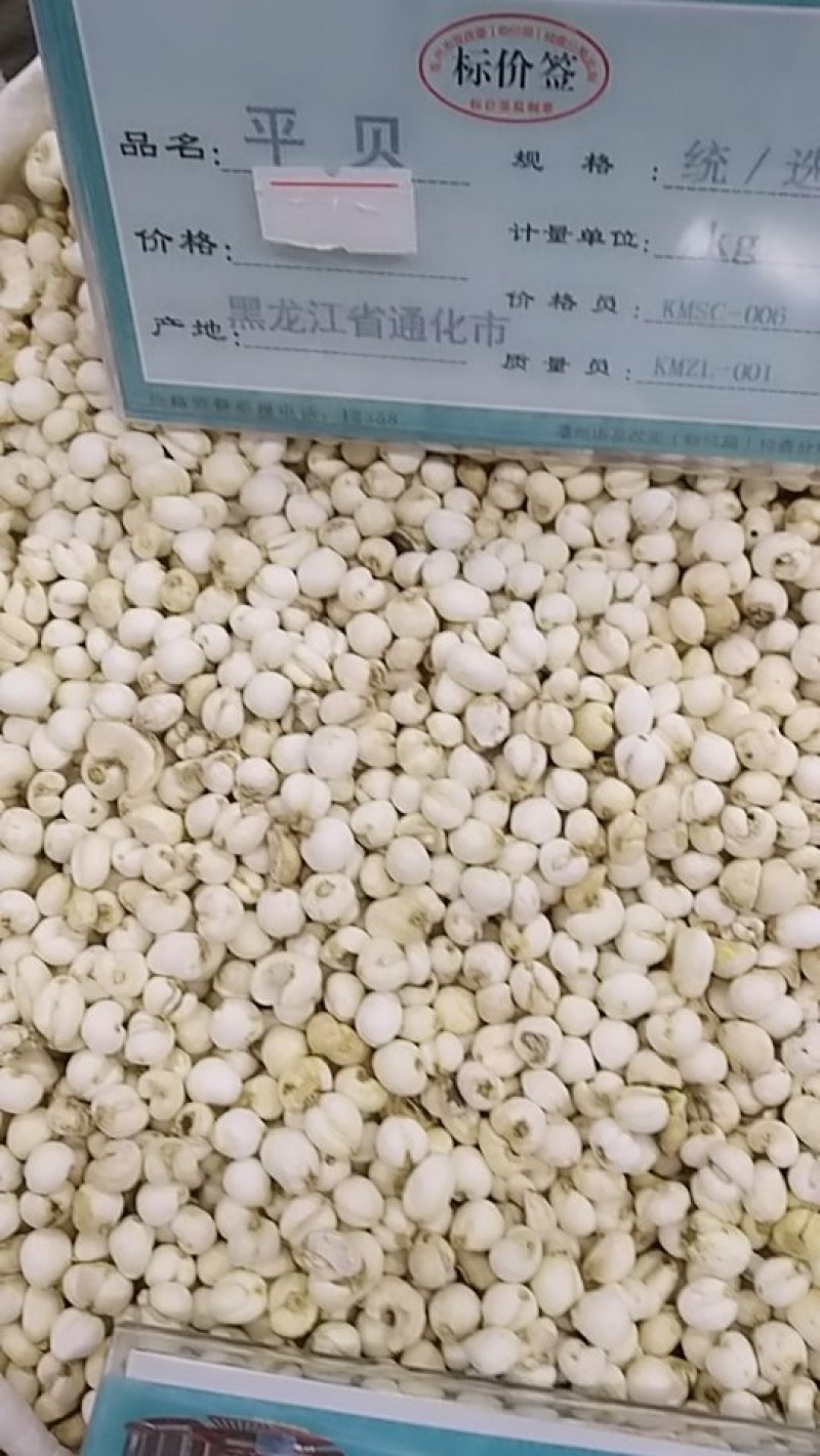 贝母，平贝，中药材贝母，