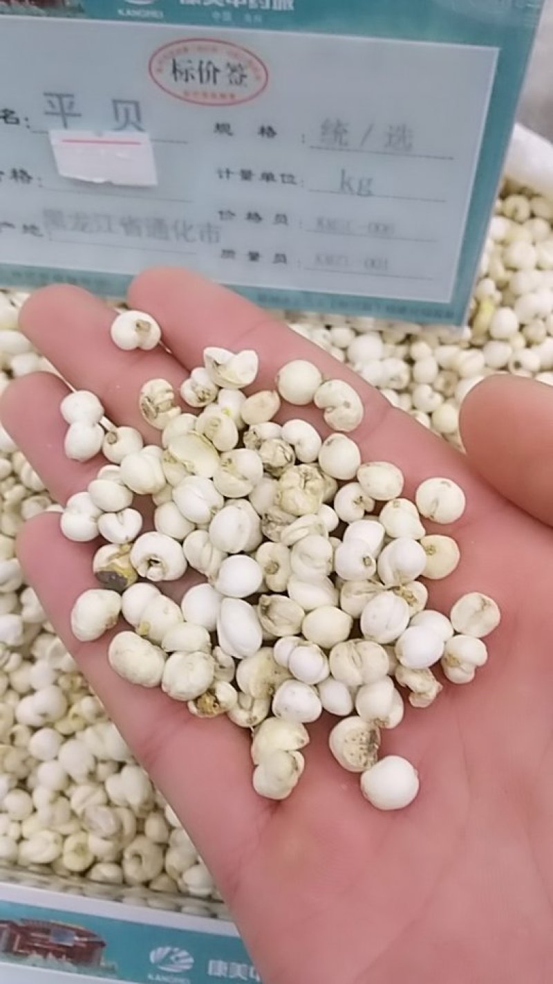 贝母，平贝，中药材贝母，
