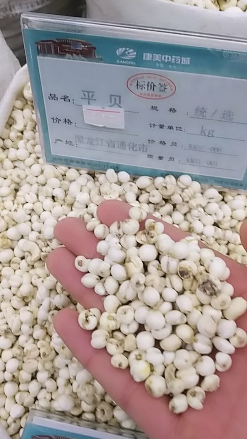 贝母，平贝，中药材贝母，