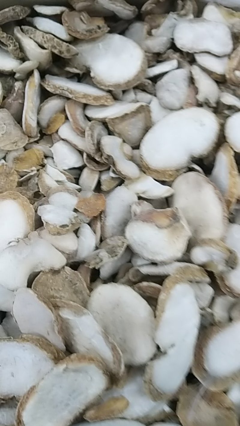 贝母，浙贝，中药材贝母，