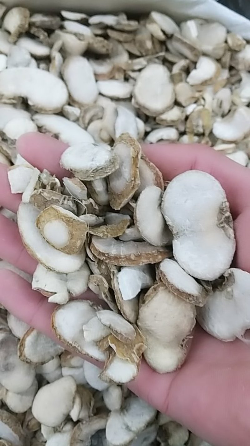 贝母，浙贝，中药材贝母，