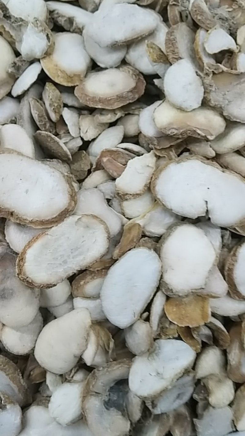 贝母，浙贝，中药材贝母，