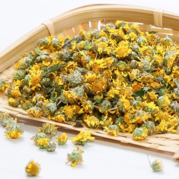野菊花