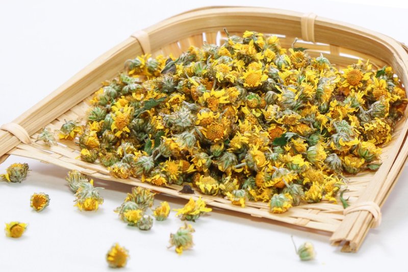 野菊花