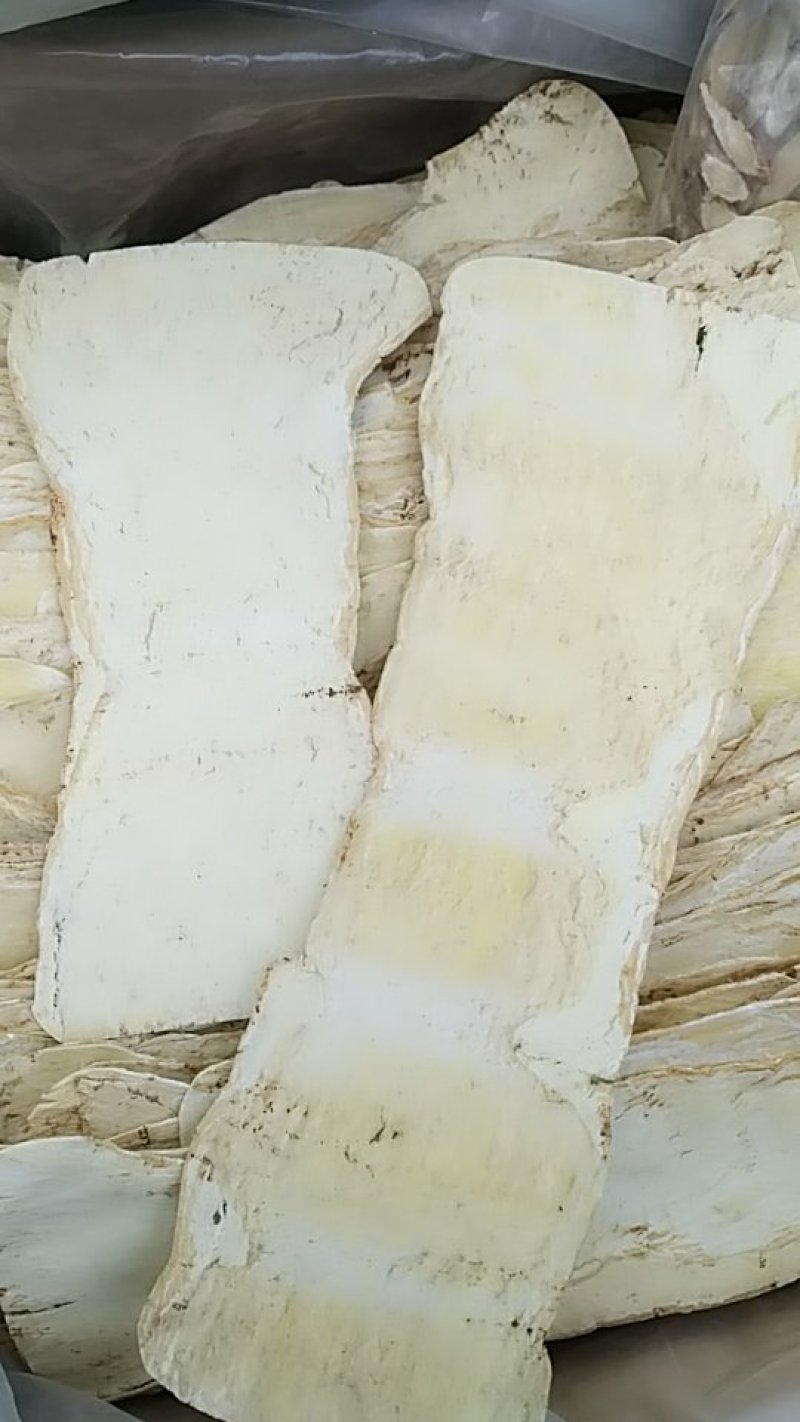 黄芪，中药材黄芪，黄芪压片