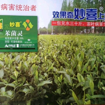 苯菌灵茶叶茶树瓜果蔬菜