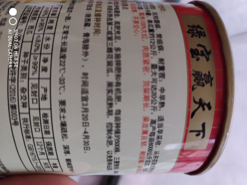 西瓜种子一绿宝赢天下
