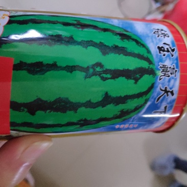 西瓜种子一绿宝赢天下