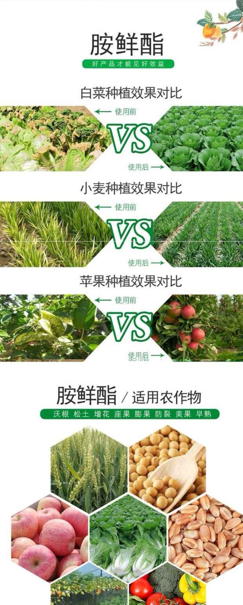 真多安8%胺鲜酯膨大着色抗逆抗寒植物生长调节剂农药