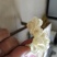 怀远白花玉石籽石榴苗，红花玉石籽籽石榴苗，