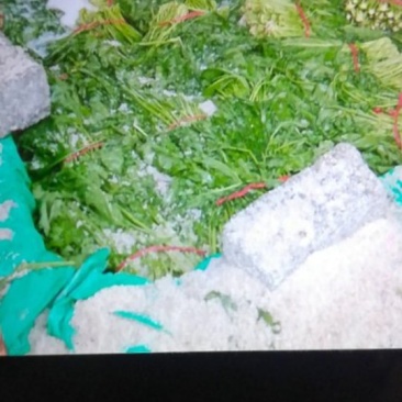 腌制雪里红