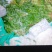 腌制雪里红