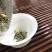 茉莉花茶特级茉莉小针王回甘高价比小白豪