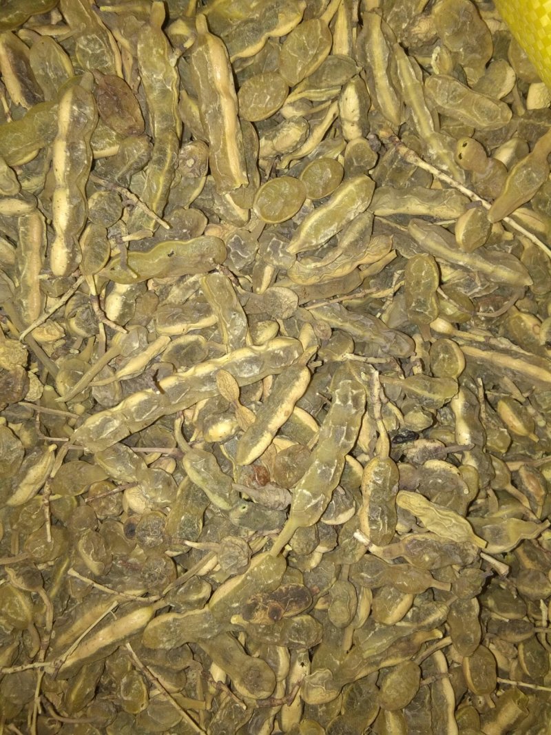 桃核