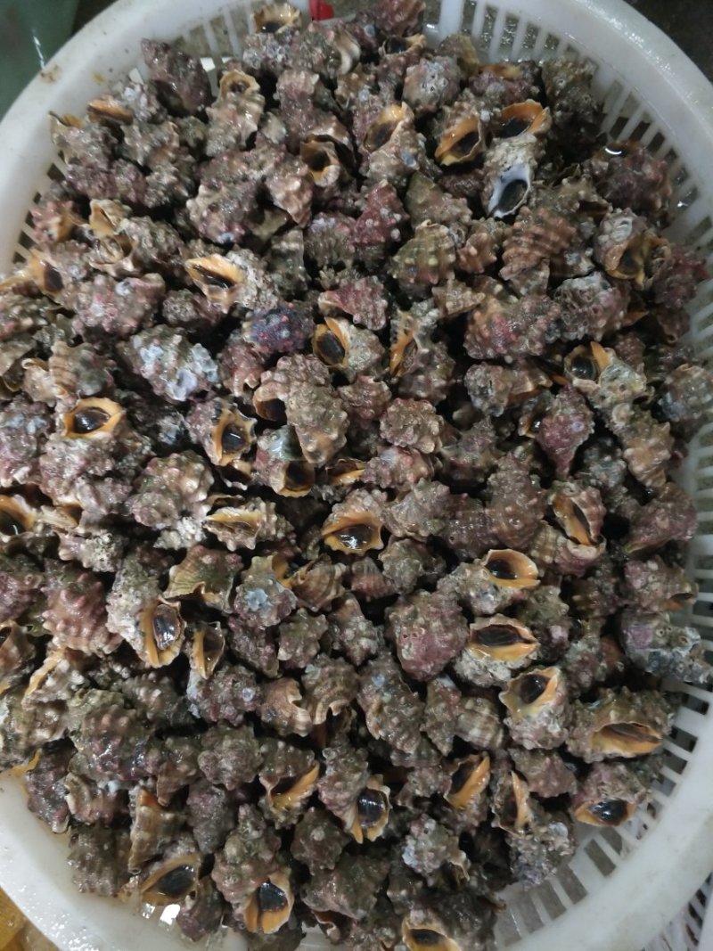 超大辣罗