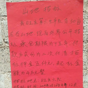 山地招包