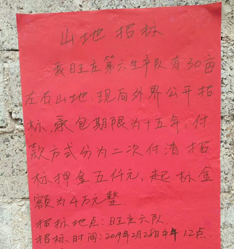 山地招包