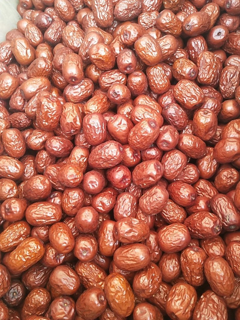 新疆灰枣大量出货
