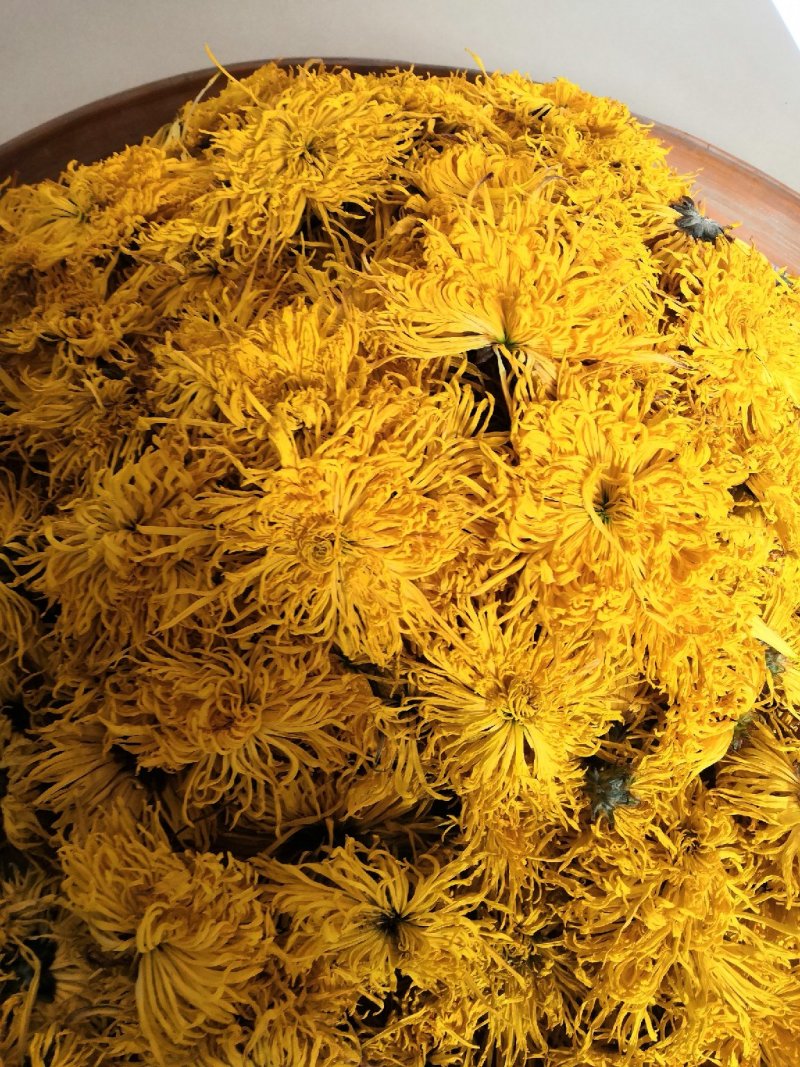 金丝皇菊