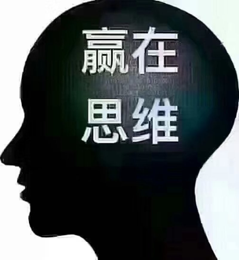 {特优品}沃柑苗，优质无籽沃柑品种091