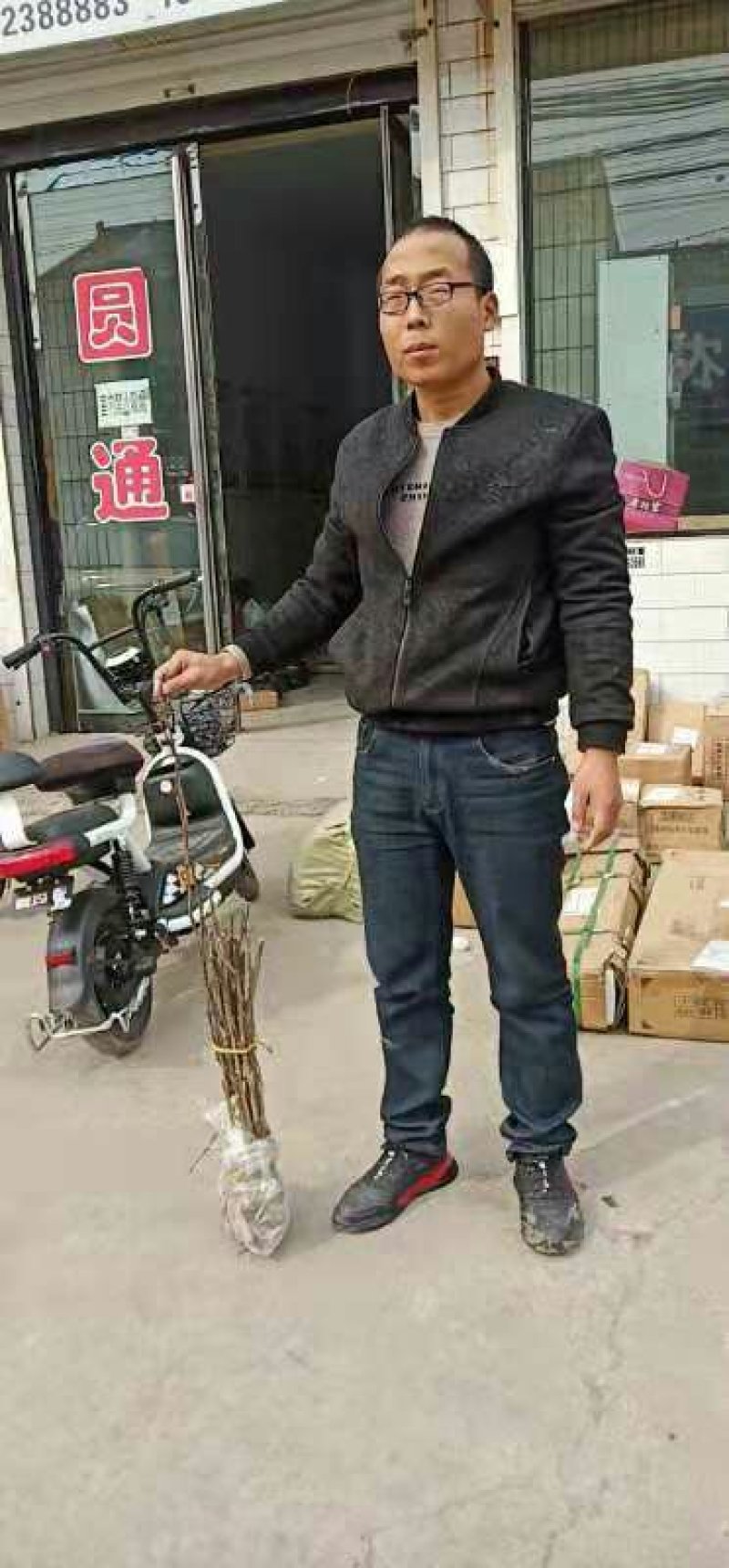 无刺花椒苗，0.4起步，，，，，，，