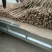 九斤黄山药