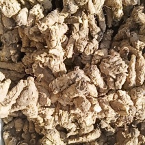 岷归无硫当归头当年新货足干不满意包退
