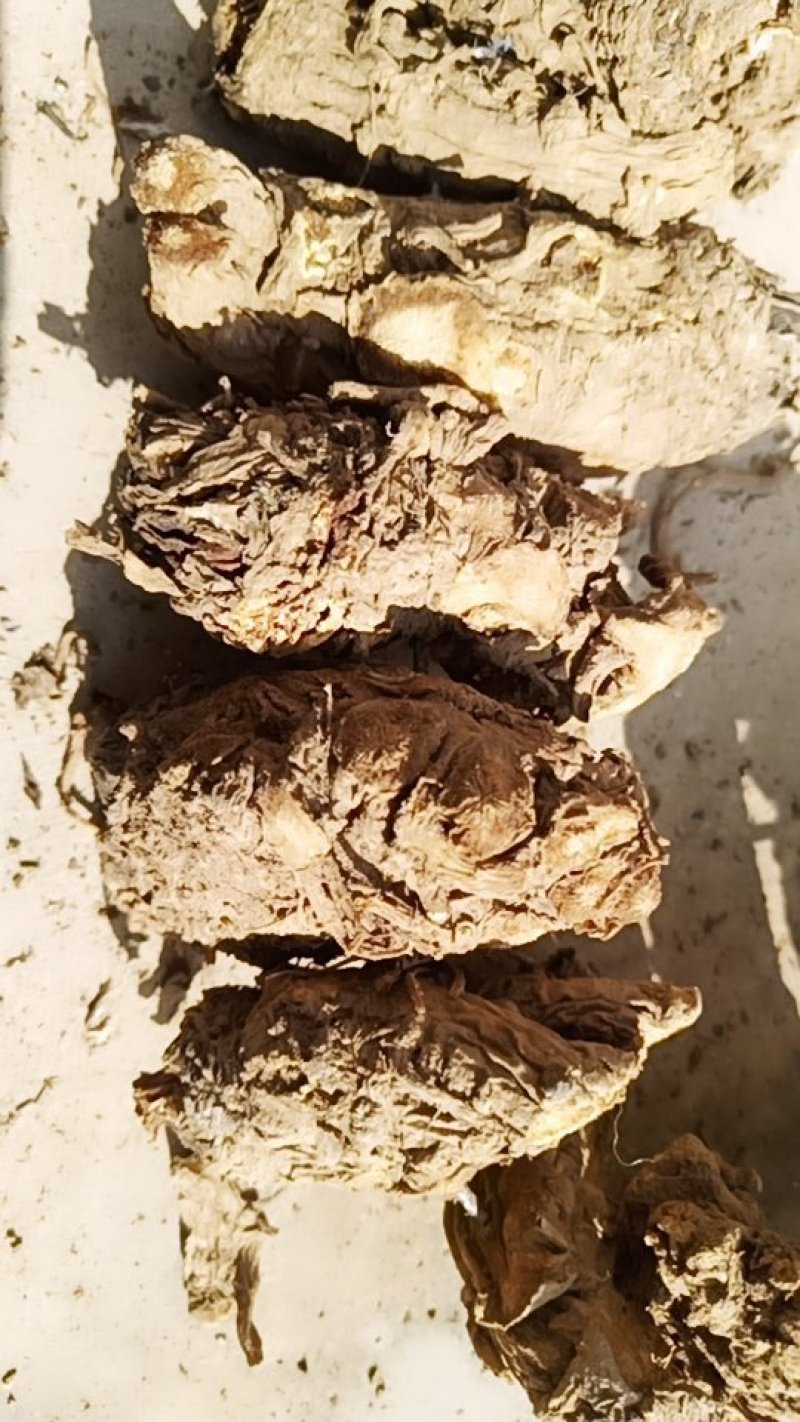 岷归无硫当归头当年新货足干不满意包退
