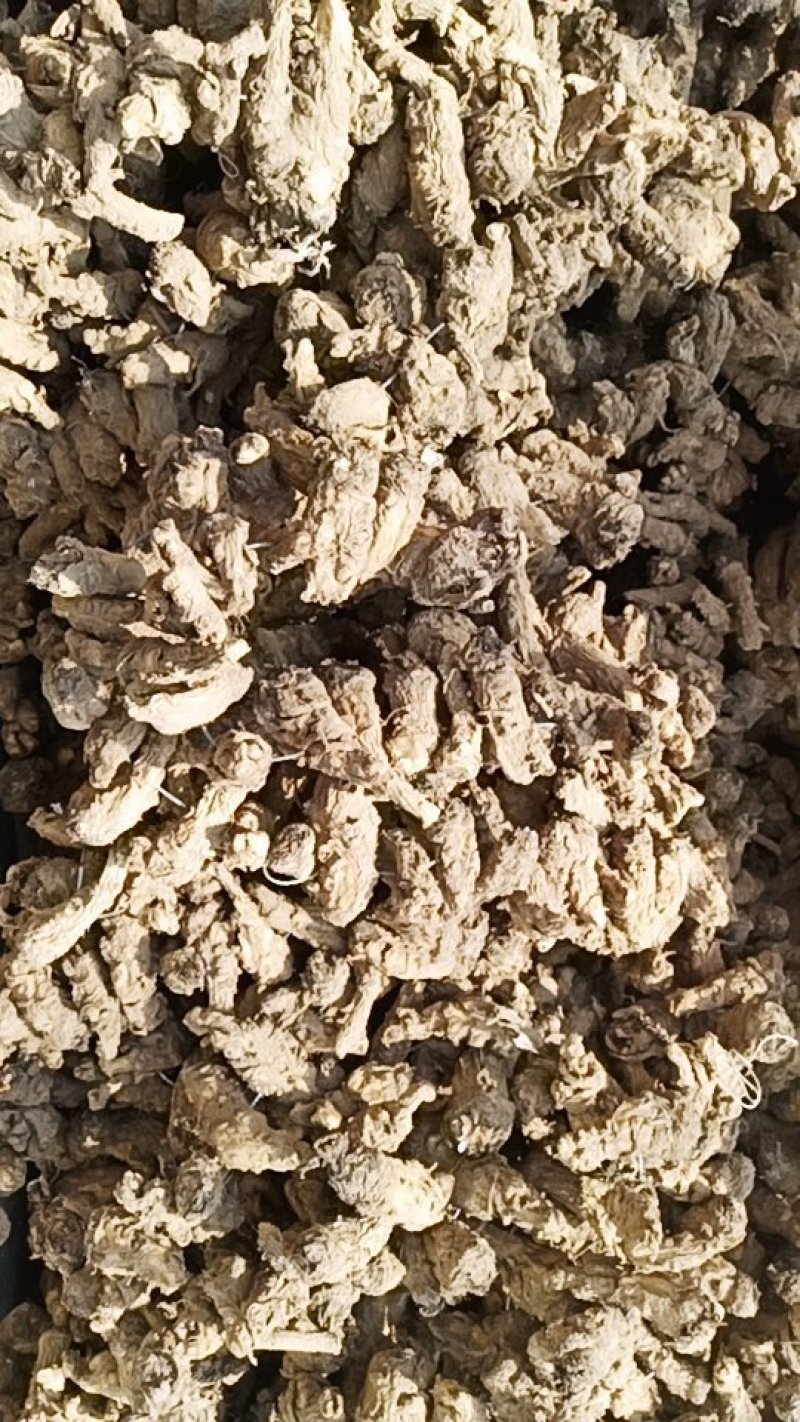 岷归无硫当归头当年新货足干不满意包退