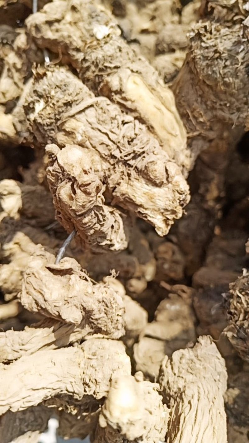 岷归无硫当归头当年新货足干不满意包退
