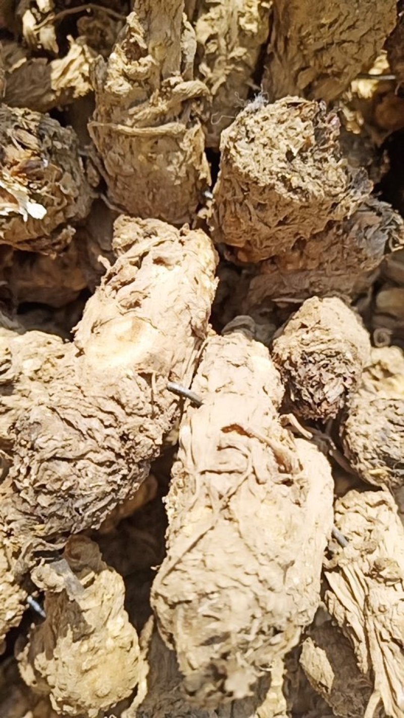 岷归无硫当归头当年新货足干不满意包退