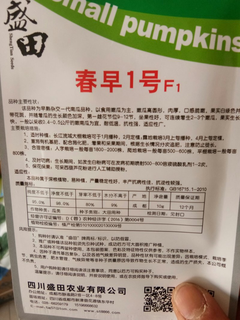 小南瓜种子菜南瓜种子一串铃南瓜种子嫩南瓜种子